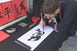 Vietnamese culture shines in Brussels