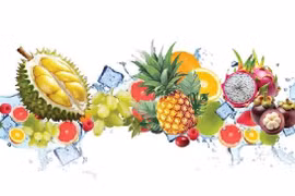 Virbrant activities at Southern Fruit Festival 2025