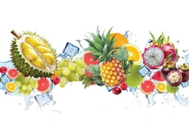 Virbrant activities at Southern Fruit Festival 2025