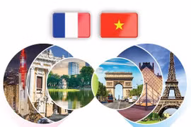 Vietnam-France Comprehensive Strategic Partnership 