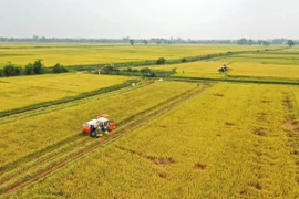 Vietnam’s agricultural sector targets 15% emission cut by 2035