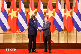 Vietnam, Cuba deepen bilateral relations