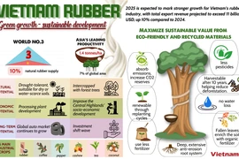 Vietnam’s rubber industry creating sustainable value from environmentally friendly material