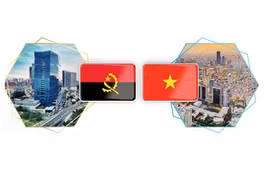 Vietnam-Angola traditional friendly relations