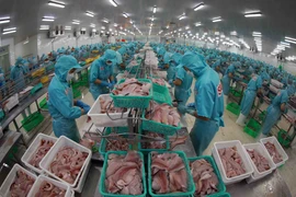 Vietnamese tra fish producers advised to adapt to new version of ASC standards