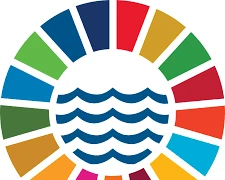 Third United Nations Ocean Conference (UNOC 3)