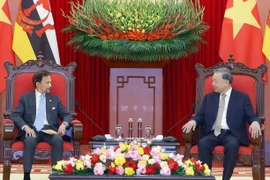 Sultan of Brunei's visit to advance comprehensive partnership with Vietnam: Party chief