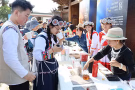Vietnam-China strengthen coffee cooperation