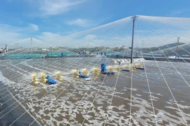 HCM City promotes technology for sustainable aquaculture development