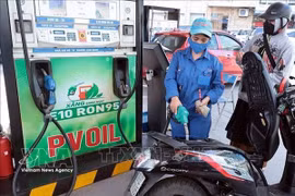 Experts address consumer concerns over E10 biofuel