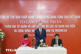 Party chief meets Vietnamese community in Indonesia