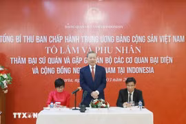 Party chief meets Vietnamese community in Indonesia