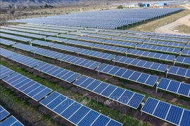 Vietnam leads Southeast Asia in solar power development