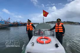 Quang Ngai tightens fishing vessel data checks to lift IUU “yellow card”