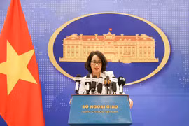 Vietnamese citizens in Israel, Iran remain safe amidst tensions: Spokesperson
