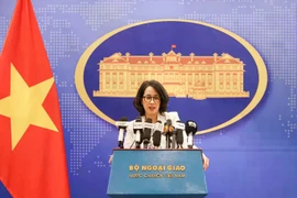 Vietnamese citizens in Israel, Iran remain safe amidst tensions: Spokesperson