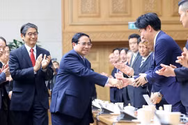Vietnam seeks deeper cooperation with Japanese businesses in strategic sectors