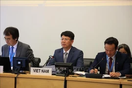 Vietnam highlights achievements in promoting civil and political rights