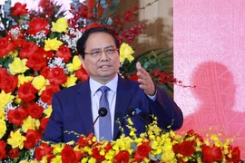 PM tasks EVN to meet power demands amid country's double-digit growth