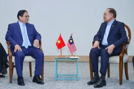 Vietnamese, Malaysian PMs meet on BRICS summit sidelines
