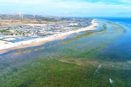 Ninh Thuan – A top getaway for summer 2025