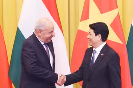 Vietnam treasures ties with Hungary: State President