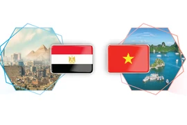Vietnam, Egypt upgrade relations to comprehensive partnership