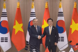 Vietnamese Party leader holds talks with RoK President in Seoul