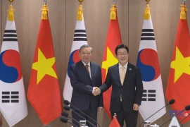 Vietnamese Party leader holds talks with RoK President in Seoul