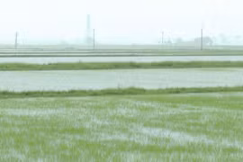 Heavy rains and dyke erosion reported after typhoon Wipha