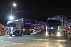 Vietnam, China open new specialised cargo route to boost cross-border trade
