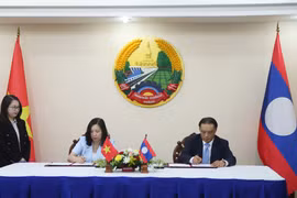 Vietnam, Laos strengthen cooperation on overseas community affairs