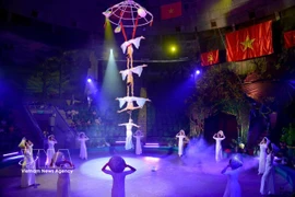 Vietnamese circus wins global applause