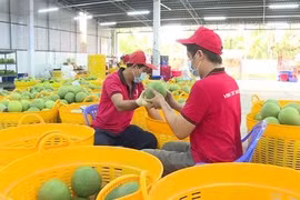 Production-market linkages – Key to sustainable agricultural production