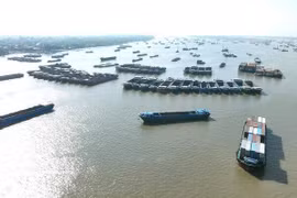 Vietnam’s Mekong Delta province promotes border trade with Cambodia