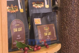 Brewing global stories in Da Lat 