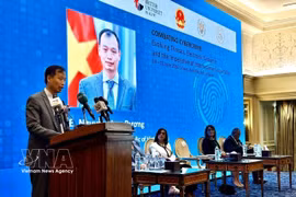 Egypt promotes implementation of Hanoi Convention against cybercrime