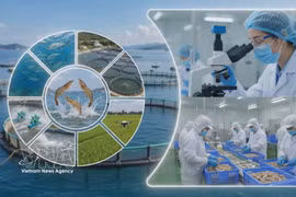 Vietnam officially launches national agricultural traceability system