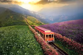 Lao Cai – Yen Bai merger: Positive outlook for green tourism development