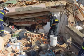 Vietnamese search and rescue team conducts operations in earthquake-hit Venezuela
