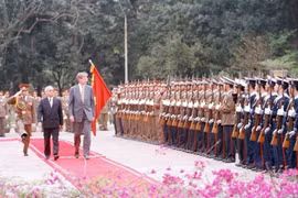 Vietnam – Sweden: Long-time friends, key partners