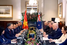 Vietnam, New Zealand agree to deepen Comprehensive Strategic Partnership