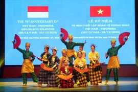 Vietnam, Indonesia turn similarities into strategic assets