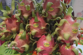 Vietnamese farm produce strengthens foothold in China