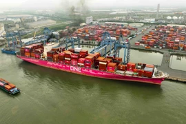 Import and export activities at Tan Cang-Cai Mep International Port. (Photo: VNA)