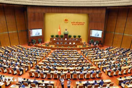 Overview of the opening of the 10th session of the 15th National Assembly. (Photo: VNA)