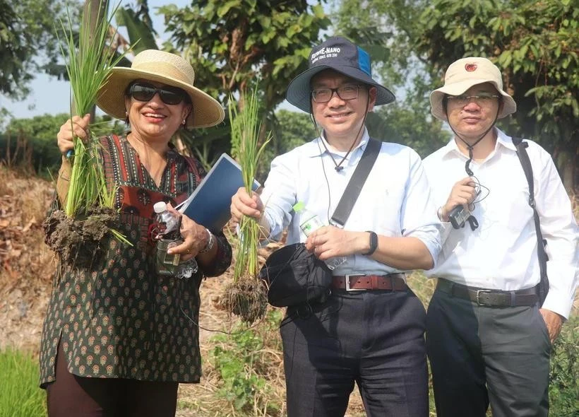 Shobha Shetty, Global Director for Food and Agriculture at the World Bank (first, left) inspects rice grown under the emission-reducing farming model. (Photo: VNA)