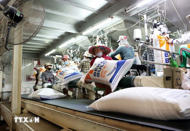 Rice packaging line for export in An Giang province. (Photo: VNA)