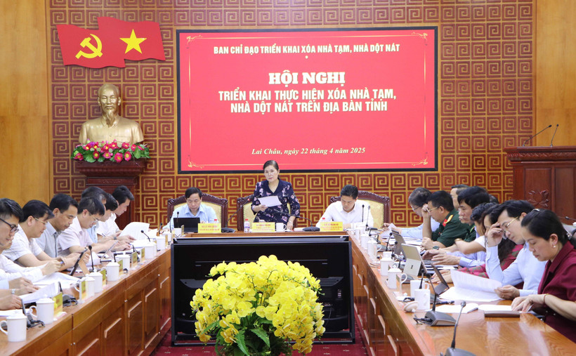 At the conference (Photo: VNA)