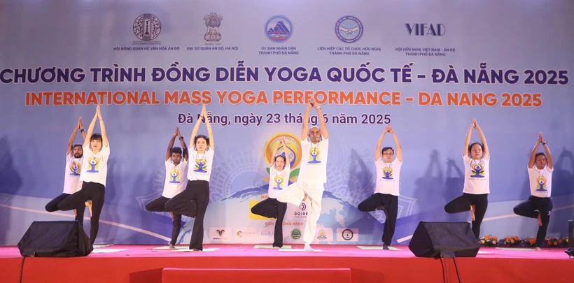 A large-scale yoga performance (Photo: VNA)
